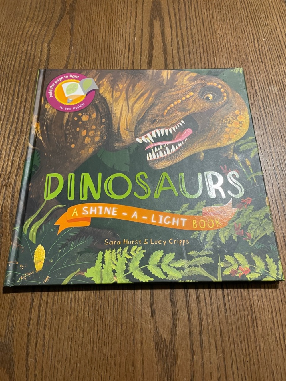 Dinosaurs: A Shine-A-Light Book - Illustrated Kids Hardcover